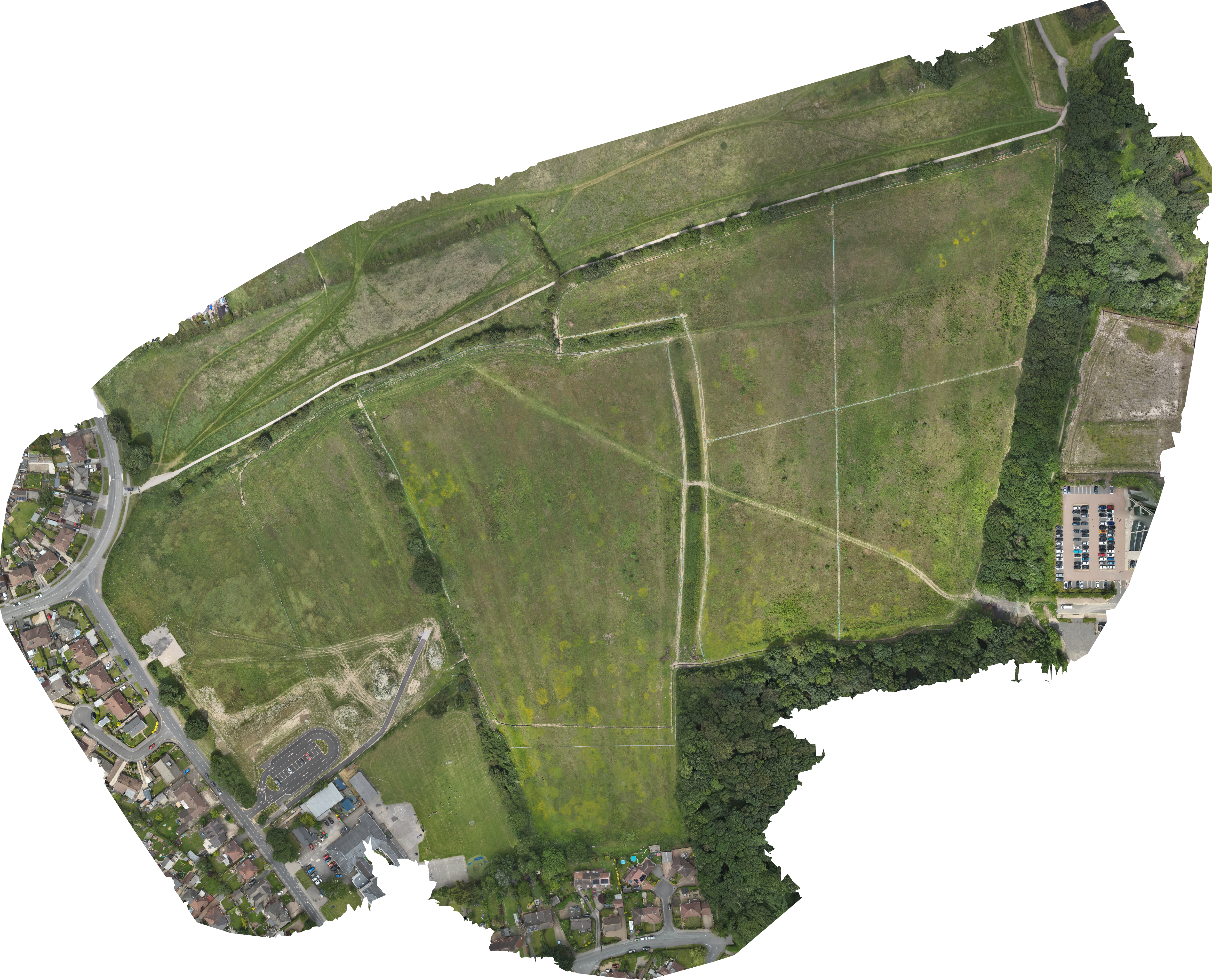 Orthophoto view